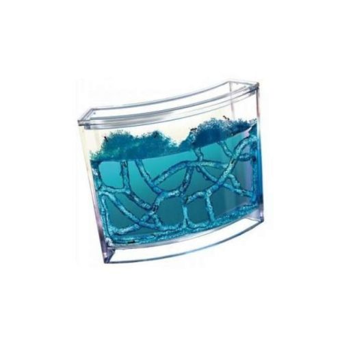 OEM Oktató gél akvárium hangyáknak, hangyavár