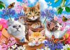 Puzzle 120 piese Kittens with Flowers - Castorland 13524