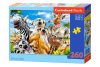 CASTORLAND Puzzle 260el. Afrikai Selfiey - Afrikai állatok