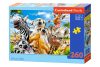 OEM CASTORLAND Puzzle 260el. Afrikai Selfiey - Afrikai állatok