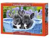 OEM CASTORLAND Puzzle 1000 elem francia bulldog kiskutyák - Francia bulldogok 68x47cm