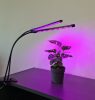 Lámpa 20 LED 2 db Gardlov növények növekedéséhez 19241
