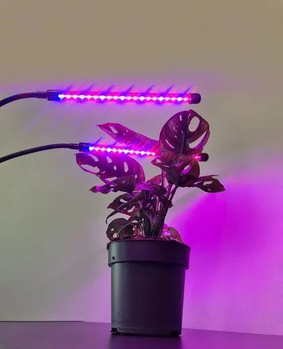 Lámpa 20 LED 2 db Gardlov növények növekedéséhez 19241