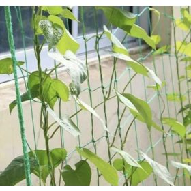 Háló - növénytámasz 2x10m