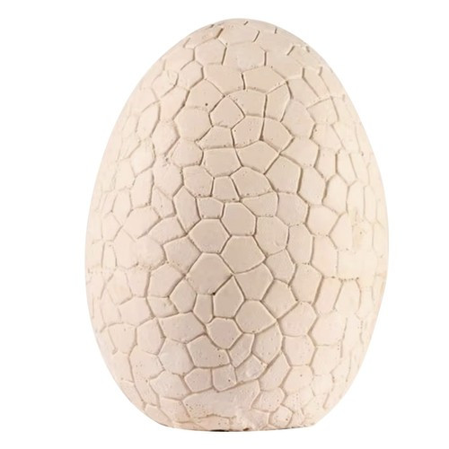 Dinoszaurusz tojás – ásatási hely