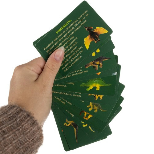 Dinoszauruszbánya –  ásatások