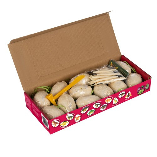 Dinoszauruszbánya –  ásatások