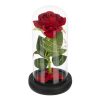 Rózsa üvegben - ragyogó Ruhhy 25682