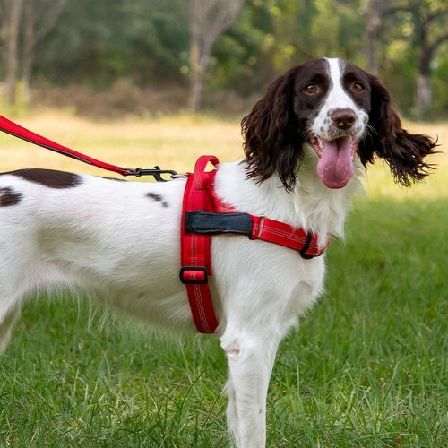 Kutyahám REFLECTIVE SILK piros XS méret