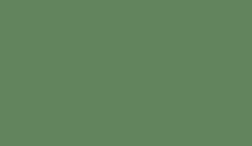 FOSCO - Camouflage Paint - Angol zöld