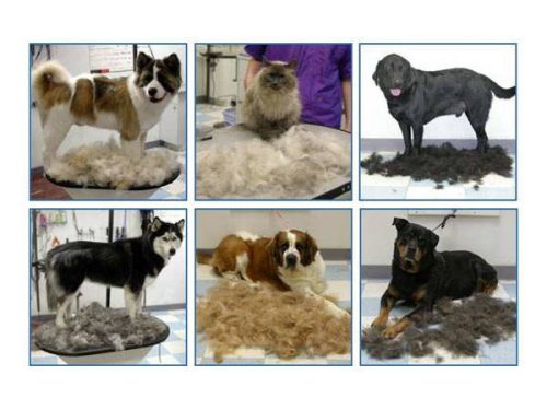 Trimelőfésű (macska kutya) 4.5cm pengeszélesség, 15cm hosszúság