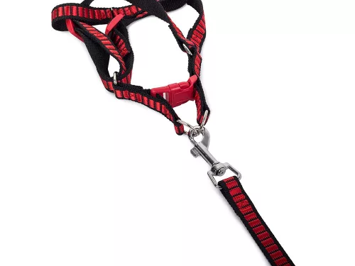 Póráz hámmal (kutya macska) - hám mellkas méret 38-50cm, piros