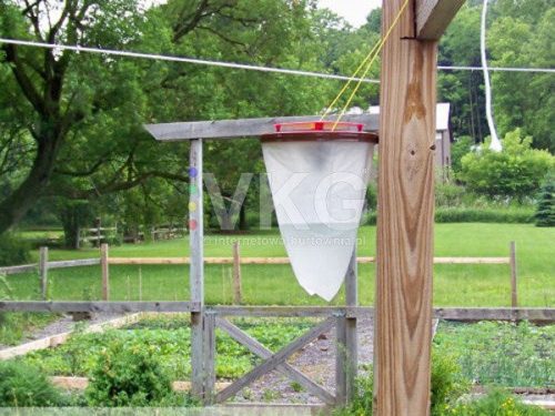 Rovarcsapda (szúnyogok darázs legyek)