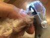 Macska kutya karomvágó LED fénnyel