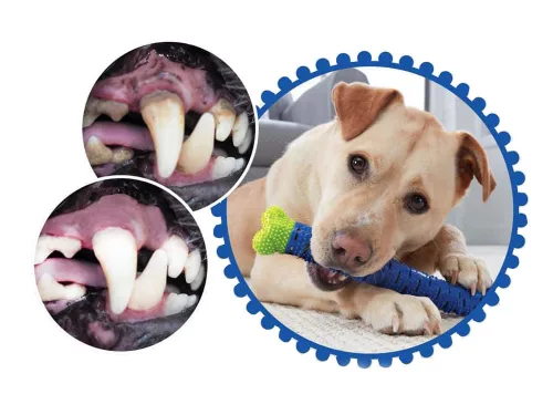 Dog Teether gumicsont fogkefe kutyajáték