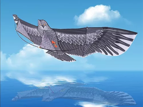 Kite madár sas 2 m-es madárriasztó zsinórral