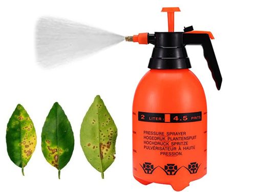 kézi permetező 2l, szórófejes palack