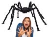 Halloween pók óriás tarantula dekoráció