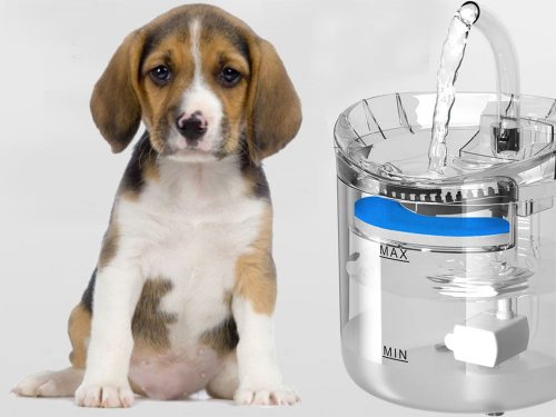 Automata itató macska,kutya szökőkút, csendes