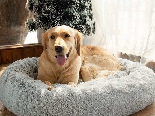 Bolyhos kutyaágy macskaágy puha párna kanapé  80cm szürke