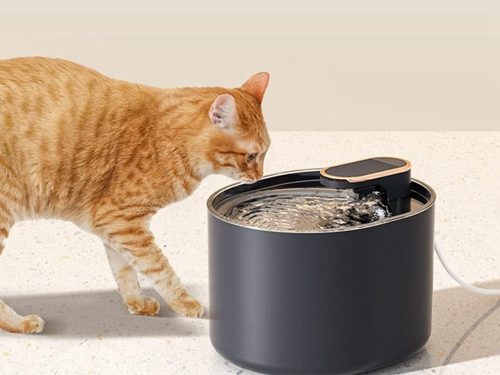 Automata macska itató kutya vízszökőkút fekete