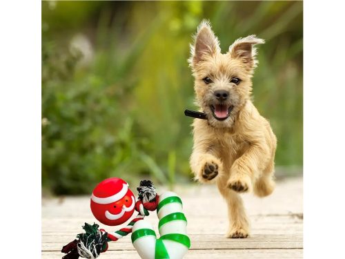 Kutyajáték szett, rágó, 3 db, mix, karácsonyi ajándék játék