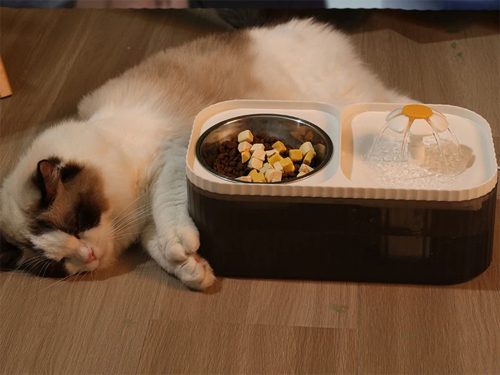 Automata macskaitató kutya itató, fehér