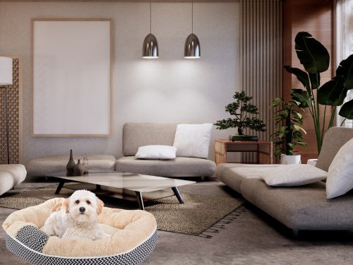 Plüss kutyaágy puha párna kanapé ágynemű pelyhes 60cm x 50cm