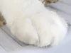 Litiera deschisă, mare și solidă, cu cupă și margine înaltă