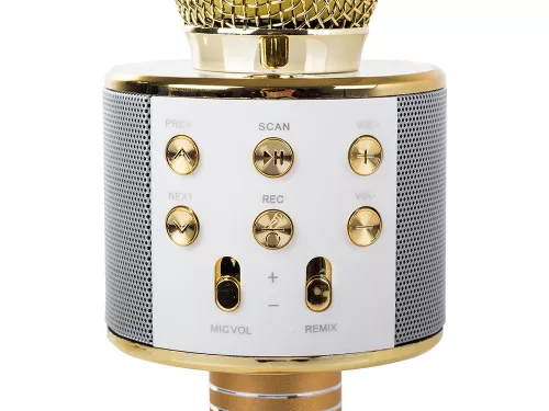 Vezeték nélküli mikrofon bluetooth karaoke hangszóró kerek tokkal különböző módok arany