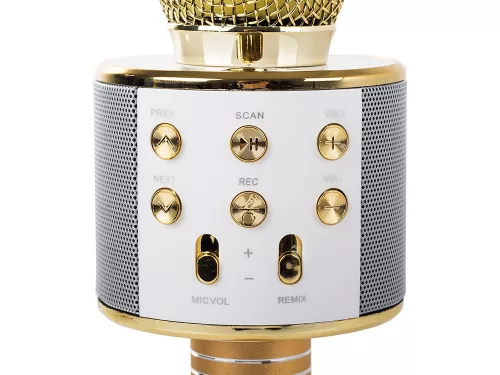 Vezeték nélküli mikrofon bluetooth karaoke hangszóró kerek tokkal különböző módok arany