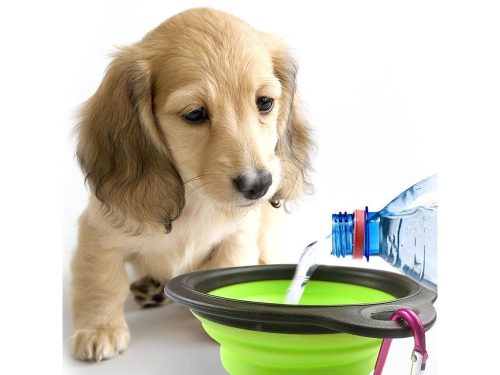 Szilikon tál kutyáknak összecsukható turisztikai carabinieri 400ml zöld