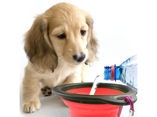 Szilikon tál kutyáknak összecsukható turisztikai carabinieri800ml piros