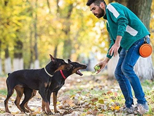 Szilikon tál kutyáknak összecsukható turisztikai carabinieri 800mlnarancs