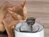 Fântână de băut pentru pisici și câini, bol automat + filtru 2l, senzor de mișcare