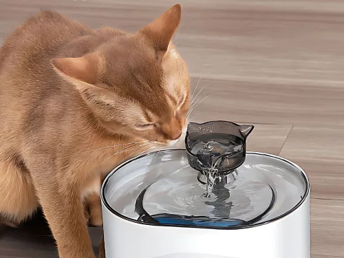 Fântână de băut pentru pisici și câini, bol automat + filtru 2l, senzor de mișcare