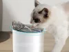 Fântână de băut pentru pisici și câini, bol automat + filtru 2l, senzor de mișcare