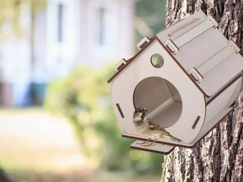 Madárház fából készült madárház fészekrakó doboz laprszerelt, festékkel diy