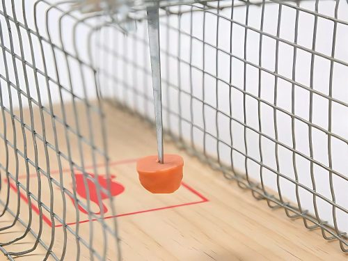 Humánus patkánycsapda nagy fémketrec xl