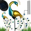 SOLAR KERT LÁMPA PÁVA LED KERTI DÍSZÍTÉS MELEG SZÍN