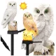 SOLAR LED OWL KERTI LÁMPA NAGY KERTI LÁMPA KERTI DEKORÁCIÓ