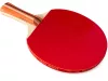 2db PING PONG ÜTŐ, ASZTALITENISZLABDA, TOK