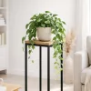 RENEW FORCE® álló kaspó – egy loft stílusú fém szerkezet